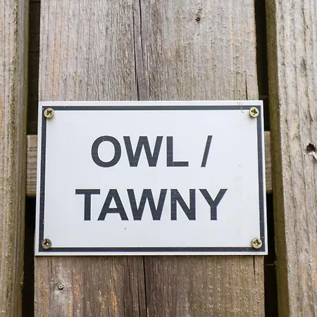 Tatil Evi Owl