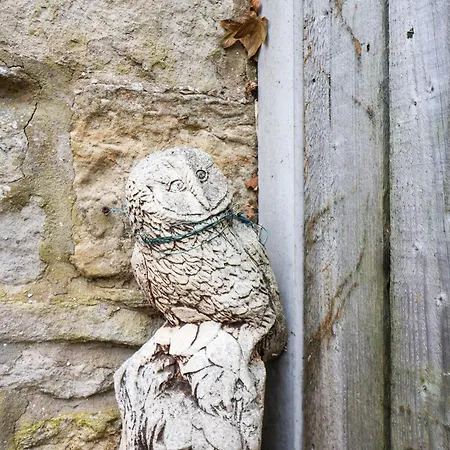Owl Tatil Evi Pickering